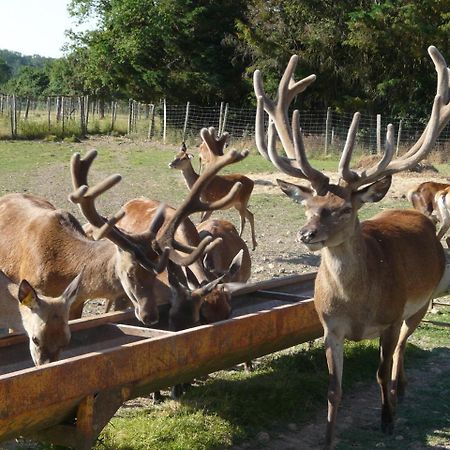 Cabane - La Forest Epuisay Bagian luar foto